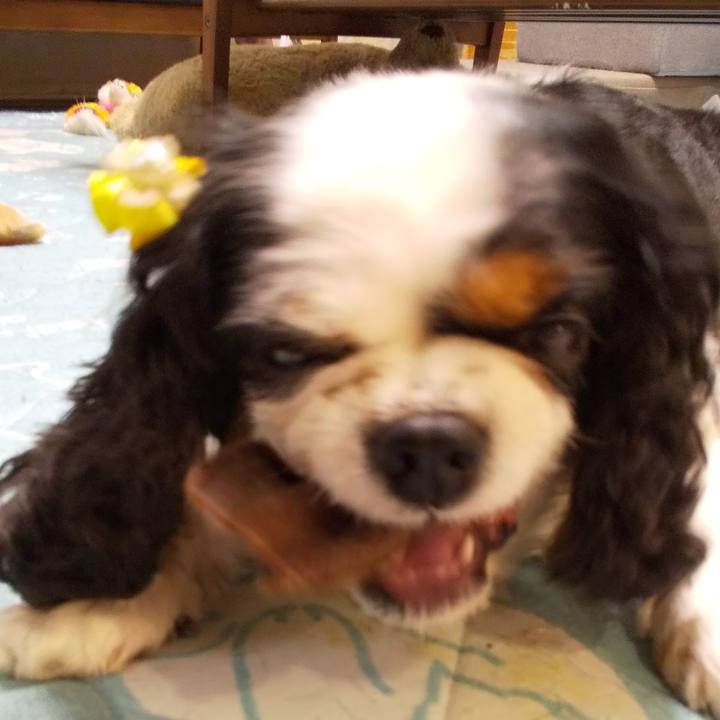 32fb8cc8 ee44 4721 8f6b 4afb99530691 1599571749127