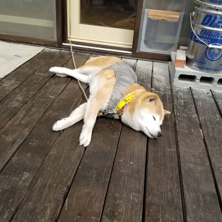 32fb9c21 387d 437f be34 030a7b193e01 1679881361385