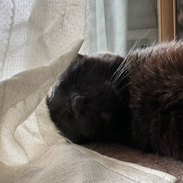 32fbc188 6294 4a6d 8d66 7f20f4b8e5ee 1692403407202