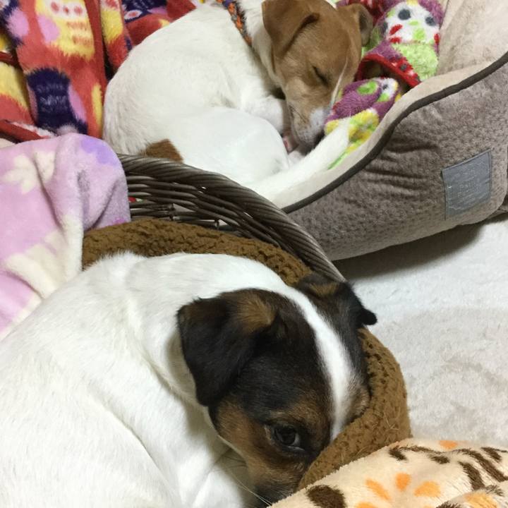 32fbe2c3 6a37 4d4a 93d9 fa96a7786e28 1509619831260