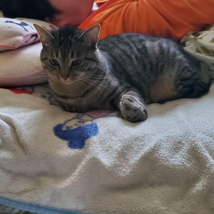 32fbf370 6f6f 4049 8bec 9a4eff39702e 1720544997887