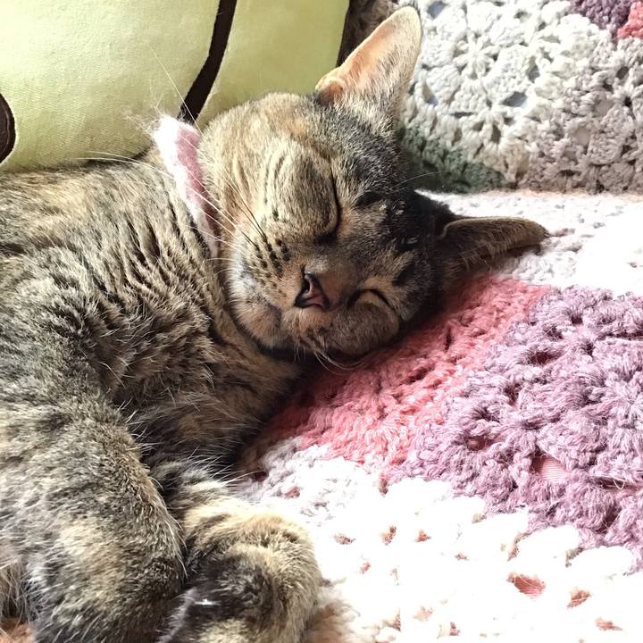 32fc2dad 95c2 49ce a9b7 46a262deb909 1721445484495