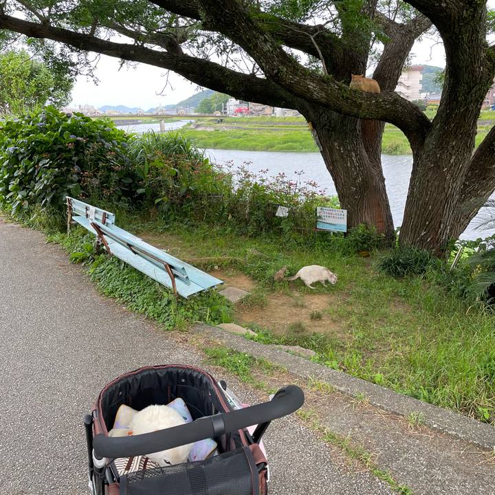 32fc3745 831a 45ea a4fd 5c507cfe0484 1655044220621