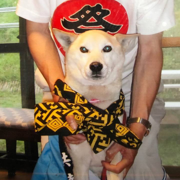 32fc45c8 f54d 4aab b810 9f5b466d10f1 1577599137103