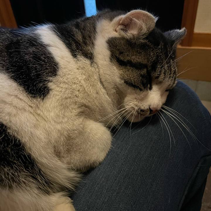 32fc5107 ff73 44bb 9069 200787b45c3f 1676370733647