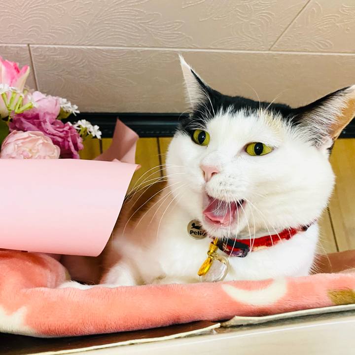 32fc5f75 1880 46da a254 2c0a301ed956 1708773096596