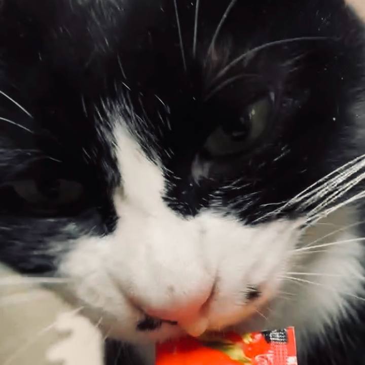 32fc9b49 236d 4766 a077 b83836f91116 1734573167374