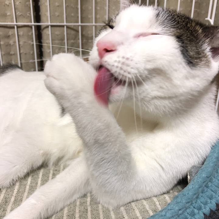 32fca8be 37ec 4ff5 9d90 f00baa2d1c17 1599829791734