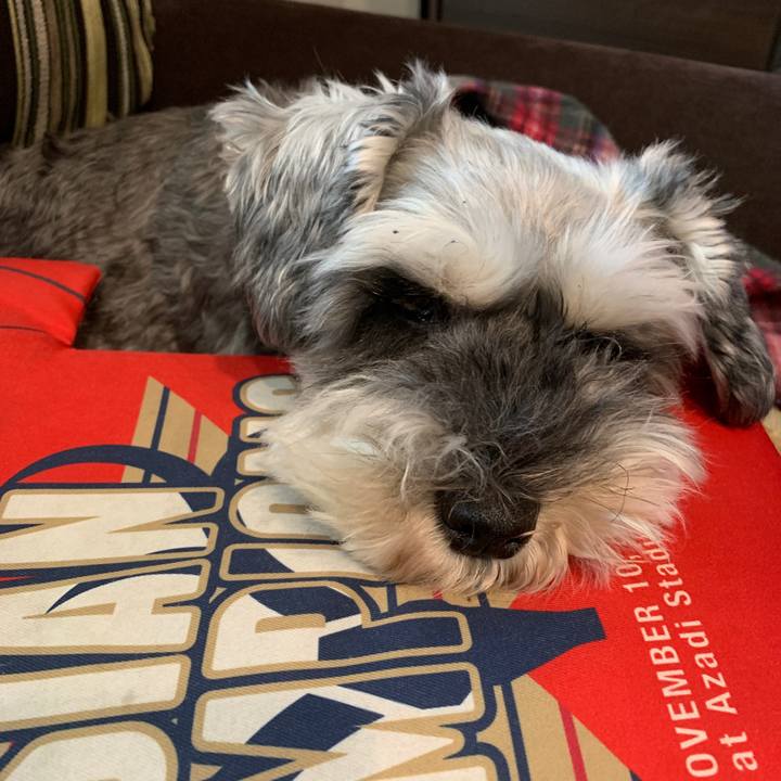 32fcb2ee aa8f 42dc af63 ab27302d5a4b 1632093016516