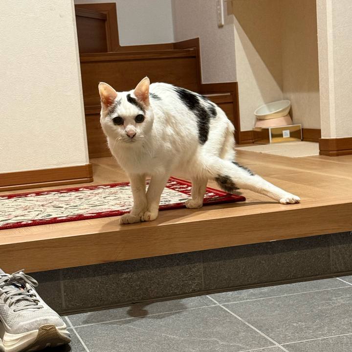 32fcd61d 139f 4571 add3 b76a3fe7a67c 1769940144070