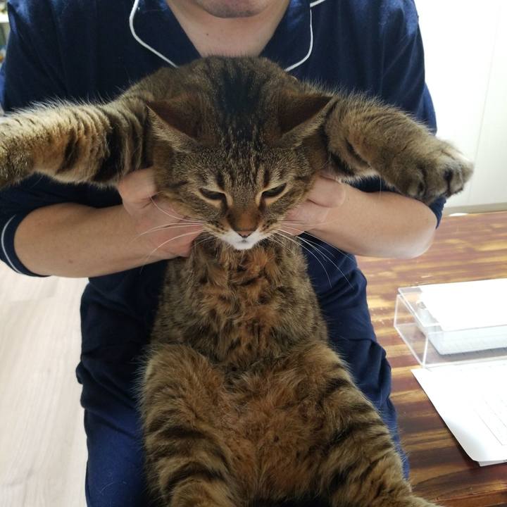 32fd099f c945 46bb b469 5a9376f3a8c1 1576969130085