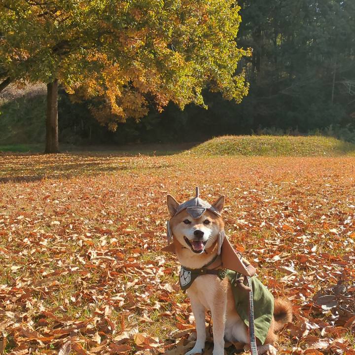 32fd1085 26d7 4c8c 892b fb44588ec847 1763978139256