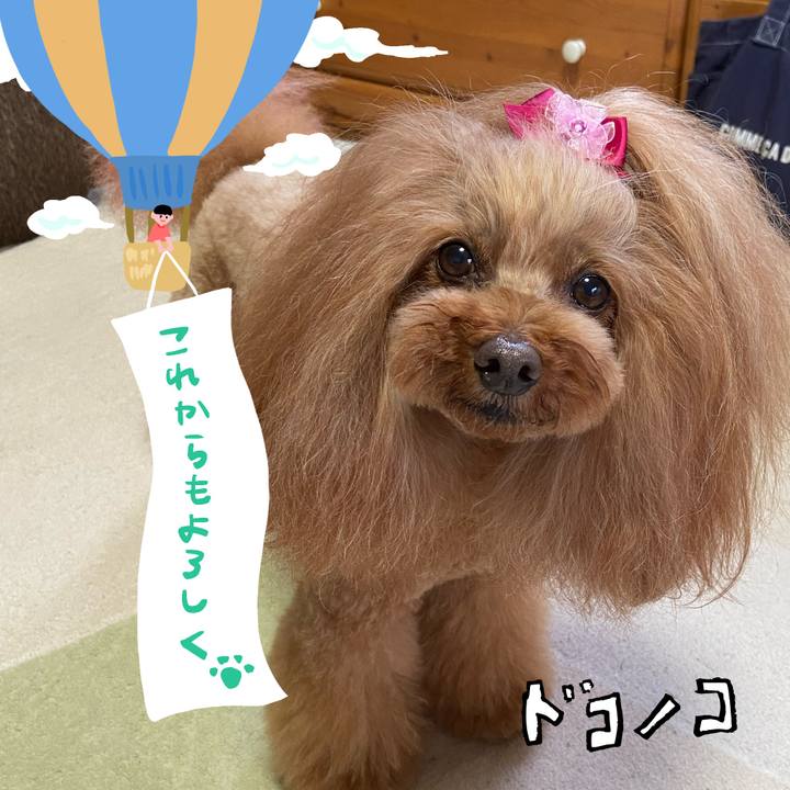 32fd1bd4 35c0 435d 8c6b 1263b2420659 1685963951666