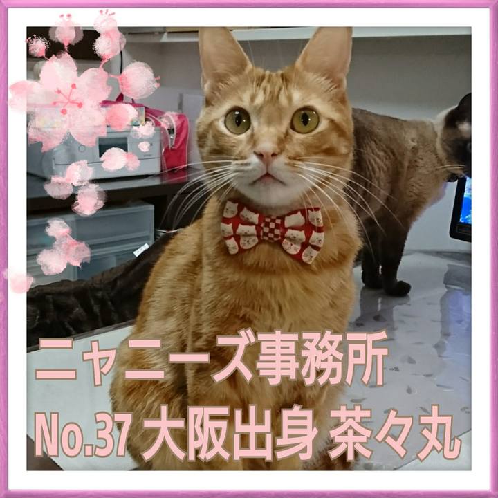 32fd71d3 56e9 4057 8639 13f685c05743 1520238182562