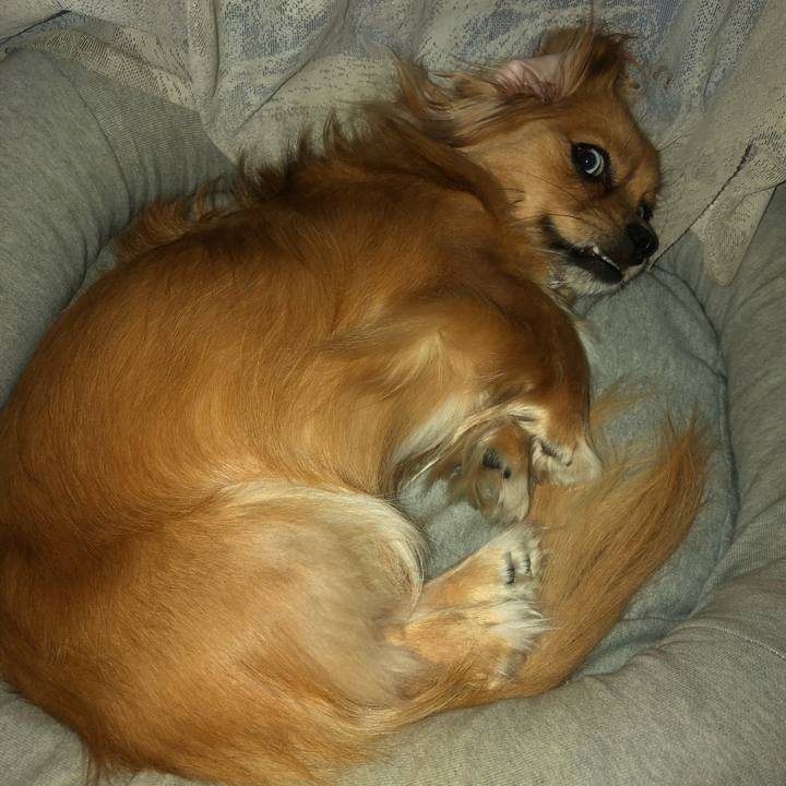 32fd74a0 78a1 4bc4 ac36 0b2b57e5374e 1537392362725