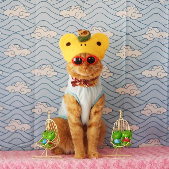 32fd9aaa d5fa 4d8d 8e15 1ca6d19b2595 1654251156716