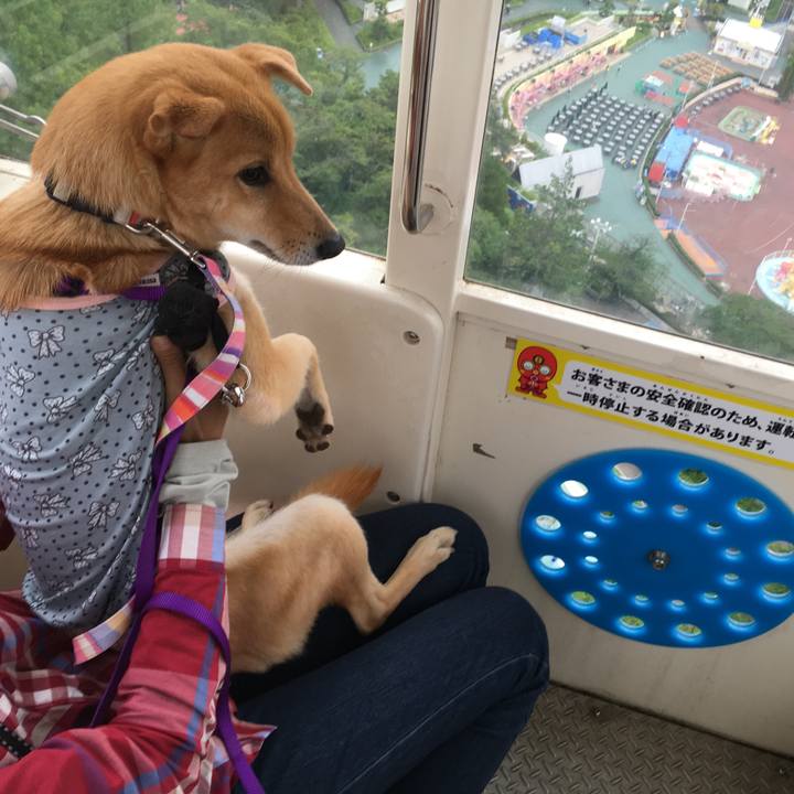 32fdeac9 840a 4503 8093 606c48bdb878 1529139888138