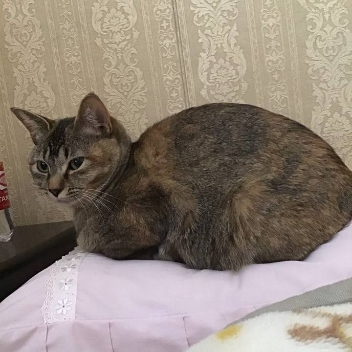 32fe0c84 f3ec 491a 86d8 e68f38f51a79 1585866808622