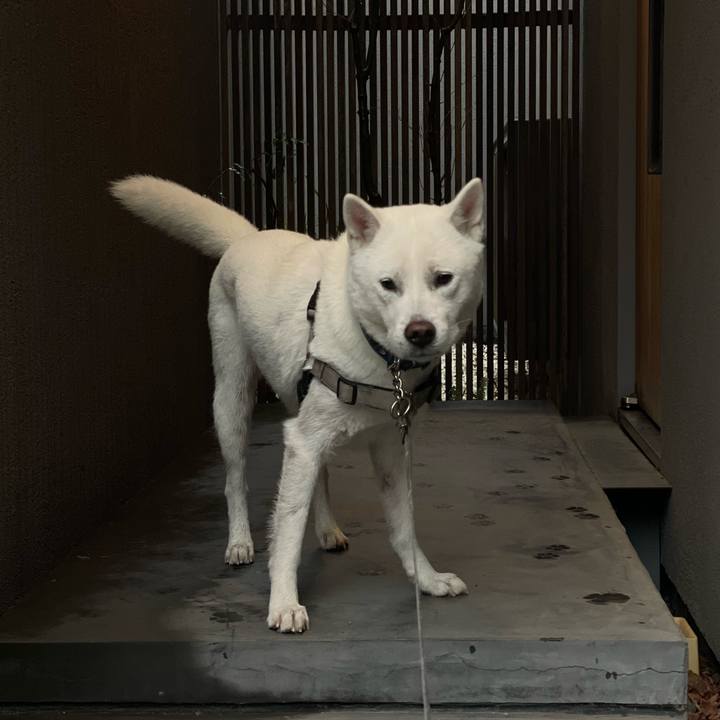 32fe19cb 7bd9 4c1b a72e ae897baefb4e 1676000049574