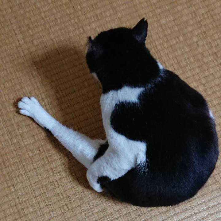 32fe7cfb e567 4f7e 8059 df0efe713d31 1540957590259