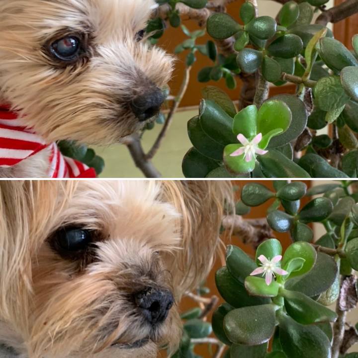 32feead4 a320 4f9b af2a afdb122679ec 1678268181186