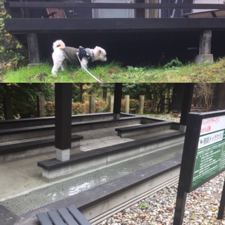 32ff1e0c a4bb 40d2 8b9d c98073726b99 1510138664966