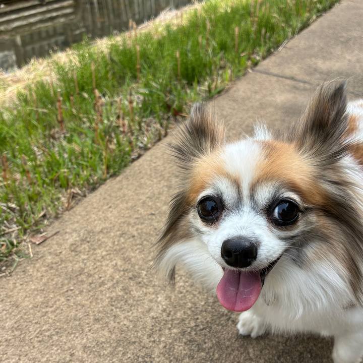 32ff767f a79f 415a 9f8c 14954f711f4d 1774309844965