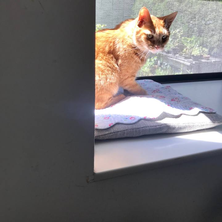 32ff9e9b 46e2 45bc 8112 2a348416fc1b 1560744736179