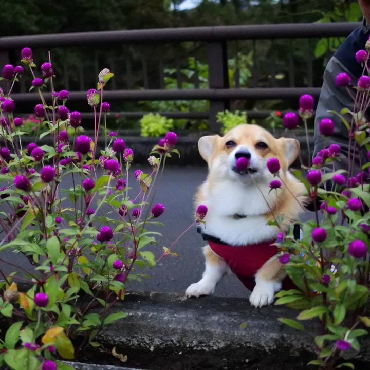 32ffdbab 153e 4005 bac7 a258740145bc 1603197623034