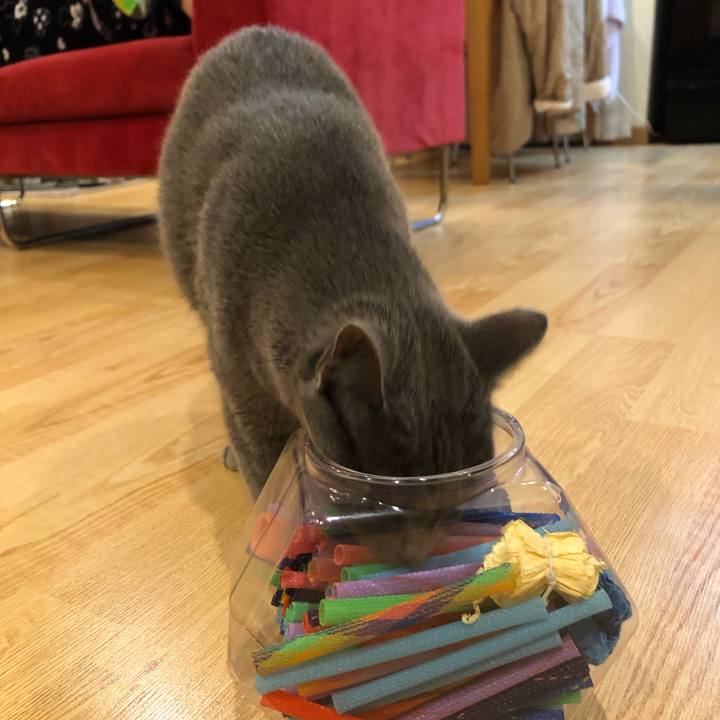 32ffe3b5 e694 471a 97f2 8cd866c1ce75 1580651773880