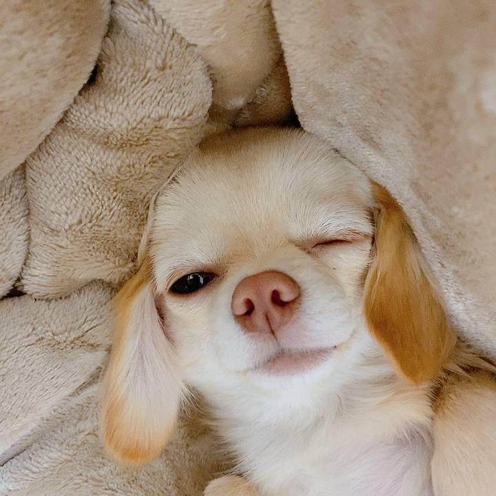 32fff8da 4f07 46e1 b97f 13c0339a5656 1612431438740