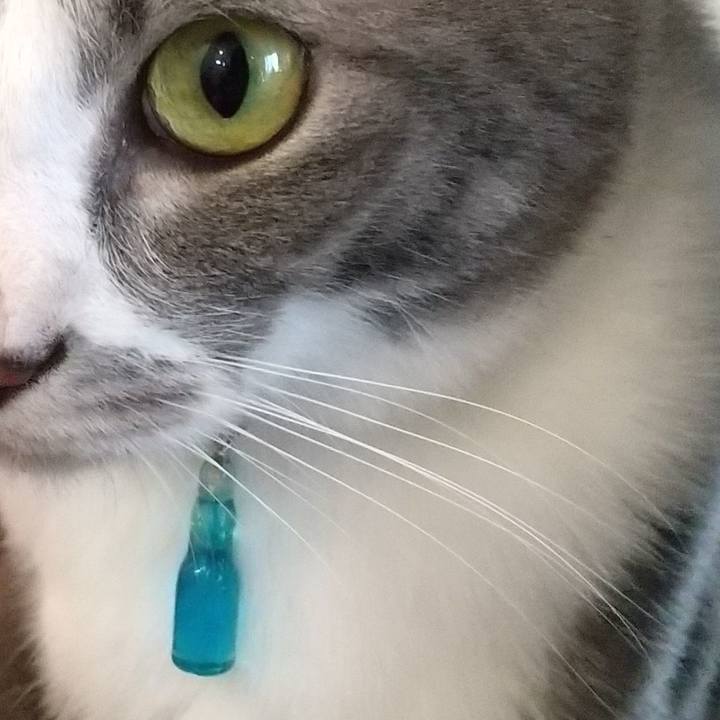 3300004f 6eb5 410e 9429 400777471f7d 1618784025109