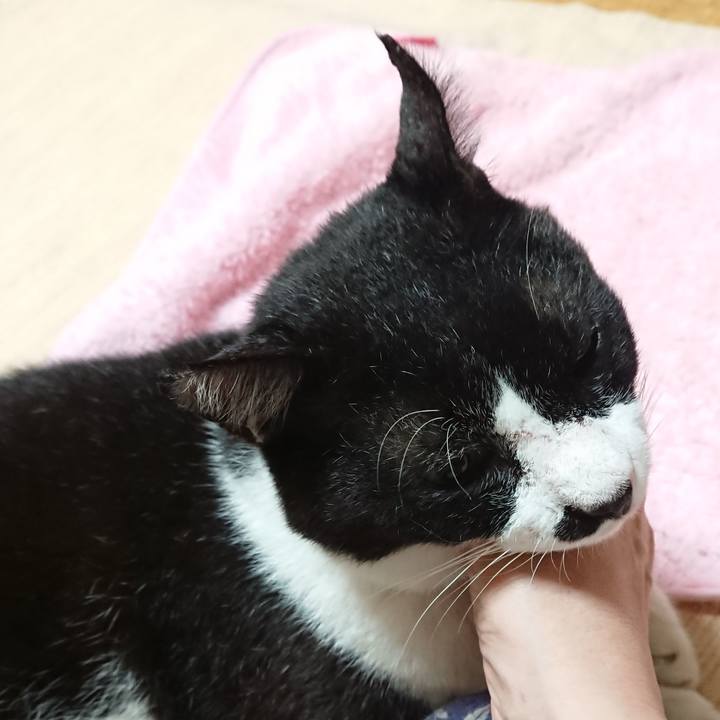 330019d0 59b2 442d ac8f 8cb0f146ae08 1633083425646