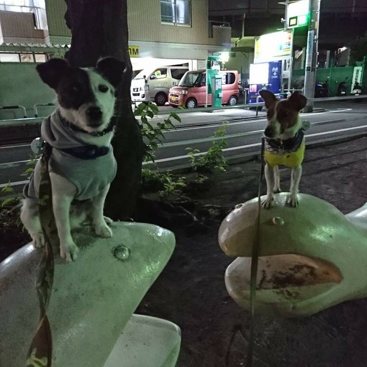 33001eda 9928 4ccc 840b a9ccd71be6f7 1527768831218