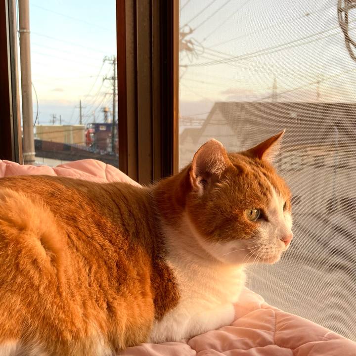 330059d1 6d30 4ceb 8577 dce421015862 1639527539600