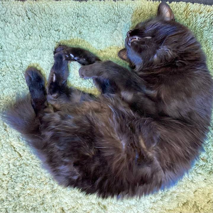 33006a9a a475 4608 a71b b0eee373753a 1753425802703