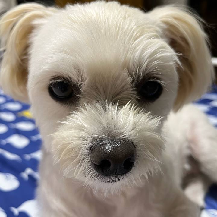 330070ff af69 4443 851e e022981b68aa 1663333304512