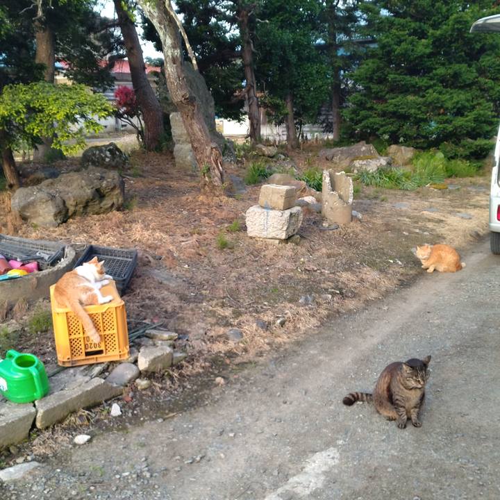 3300bb88 b1e8 4163 a751 b3401929195d 1749246555733