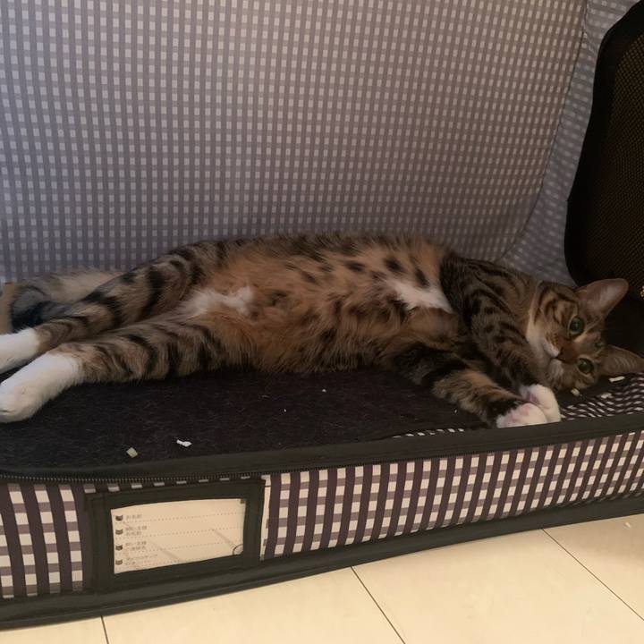 3300e7cf 0304 4b84 90d0 888363965bce 1621255658935