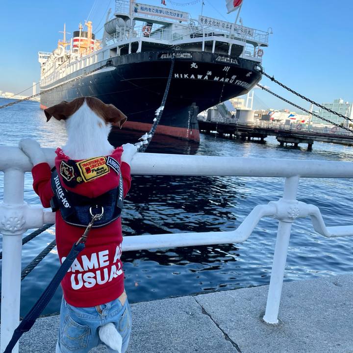 3300ed3f 3b30 40f4 b058 9ebc0505bde5 1641215425911