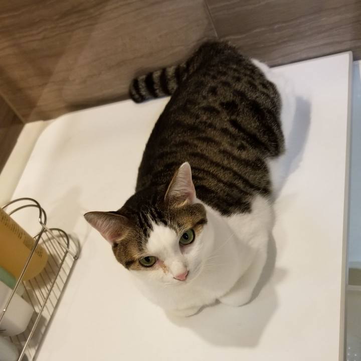 3301000e 4039 422a bdc1 51d2909de4ea 1568718508780