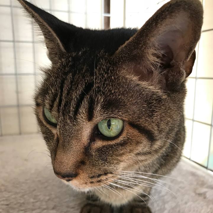 33014b79 fd6c 4d08 9b80 18b7141d4f0f 1512435932537