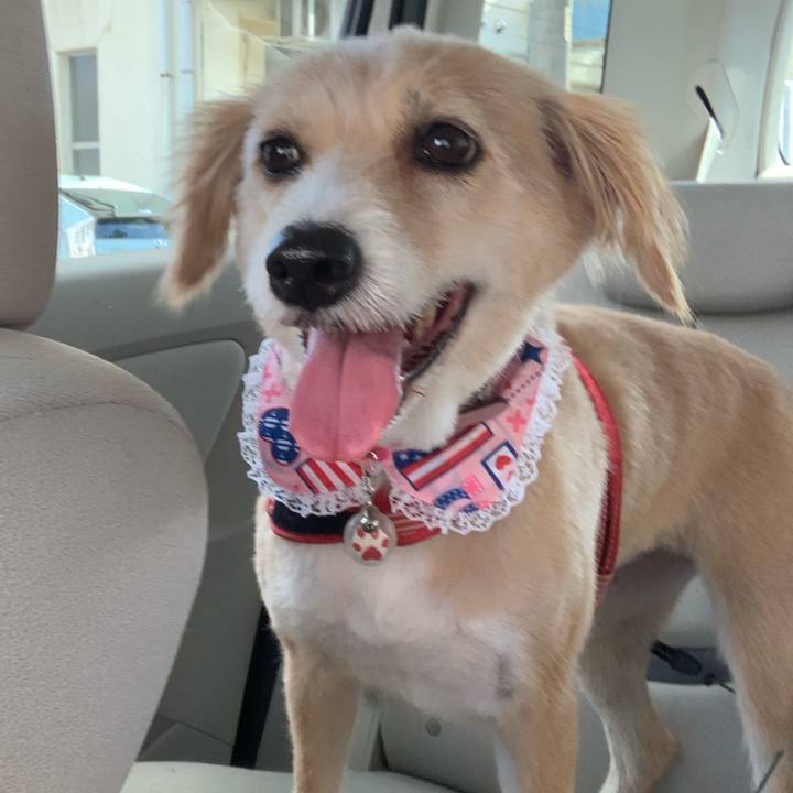 330198c5 328c 47d5 8a67 b74f64069897 1567840453707