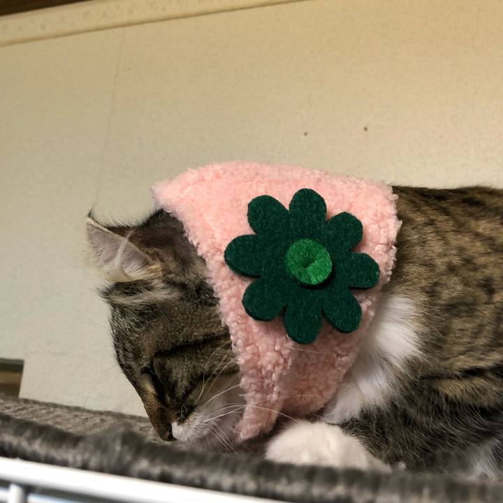 3301b9be 925f 44b7 a056 30a7c410dd5b 1544354321211