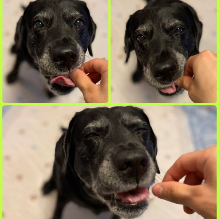 3301c107 a40c 4e71 9826 5960d5c7263f 1621692616532