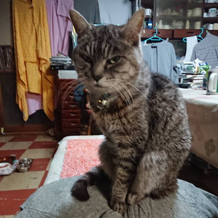 3301d1bf b9f0 417d 92c8 d51813e3a830 1577223598426