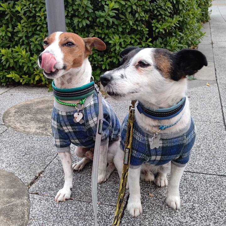 3301d2fe ffe4 446d ac4f 4085ec92ff29 1701037315865