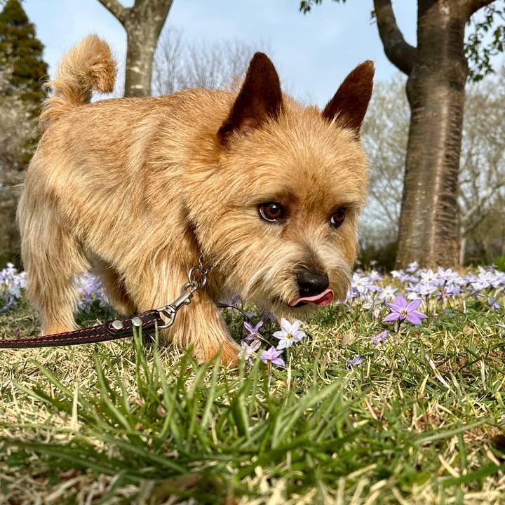 3301e54e 2a91 4dbc a42d 6af8e1bca588 1743889754336