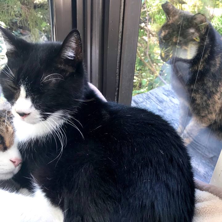 33021042 e982 4863 ac54 40e81f3f0e9a 1576312957570