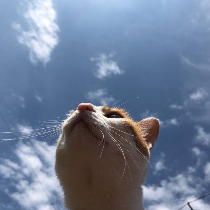 33021e77 3cb5 4cdf 9115 7d0f0a3f70bc 1560846612547